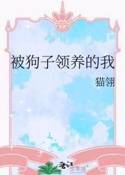 狗狗被领养了但是想要回来怎么办