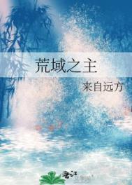 荒域之主来自远方全集