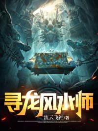 寻龙风水师有第二部吗