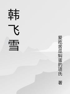 关于韩飞雪的