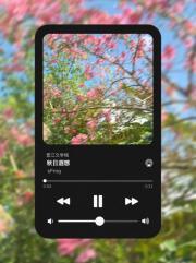 秋日遐想散文五百字作文