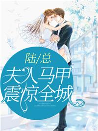 陆总夫人又双叒撒娇了