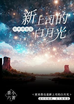 就想和上司谈恋爱by景小六