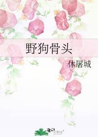 野狗骨头电视剧