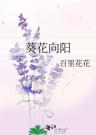 葵花向阳开