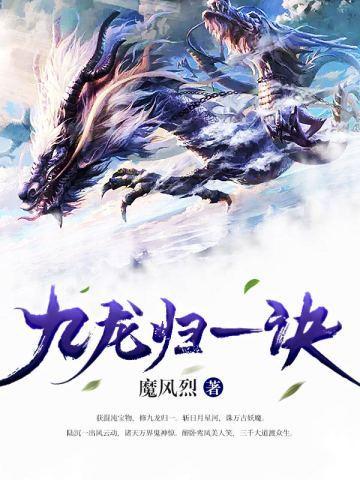 九龙归一诀女主角