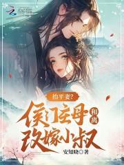 抬平妻?侯门主母和离改嫁小叔txt百度