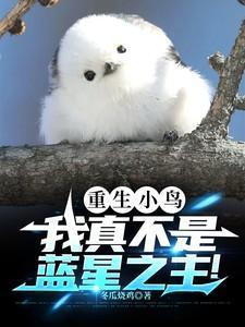 重生之小鸟依人