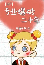 [HP]专业爆破二十年（精修中