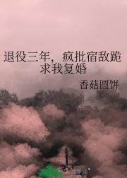 退役三年,疯批宿敌跪求我复婚