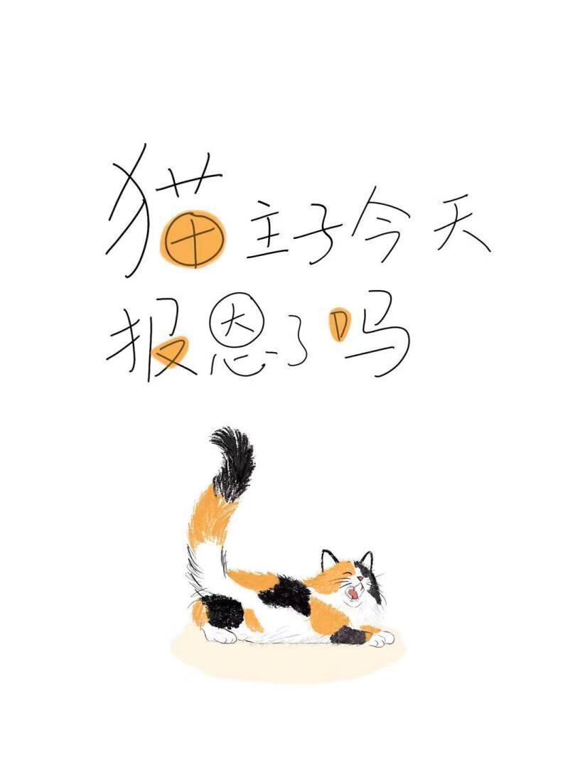 猫主子今天报恩了吗?