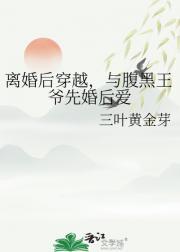 离婚后穿越，与腹黑王爷先婚后爱