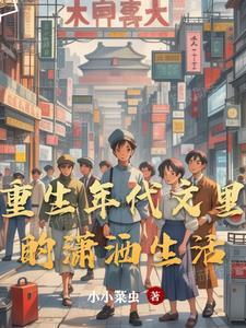 重生年代文里的潇洒生活