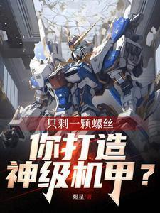 只剩一颗螺丝,你打造神级机甲?